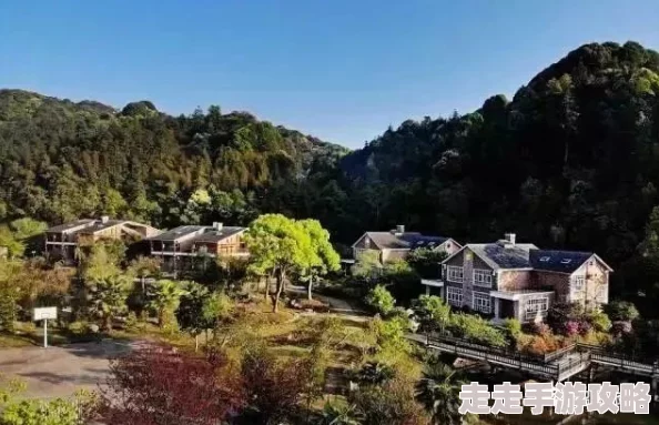 亚洲天堂一区在线：最新动态与用户体验分享，畅享无缝连接的娱乐盛宴！