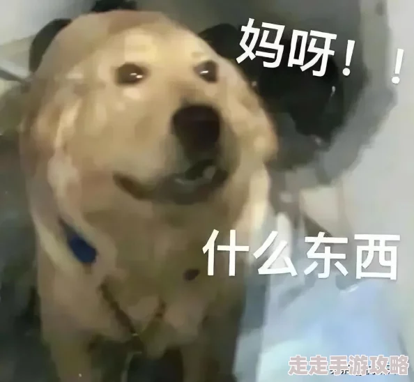北风江湖游戏新手必备：全面玩法攻略与快速上手介绍指南