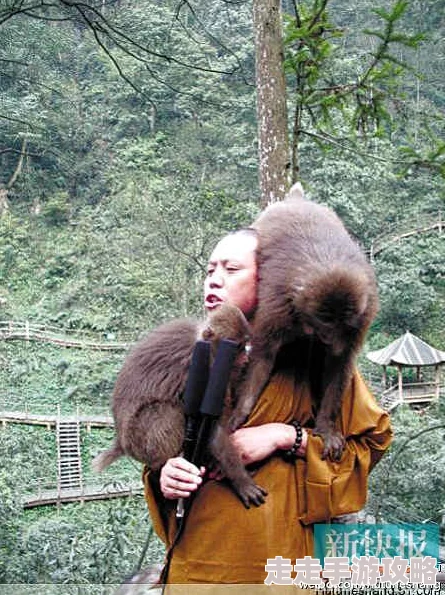 二人生猴子视频引发热议，网友纷纷讨论其背后的故事与意义