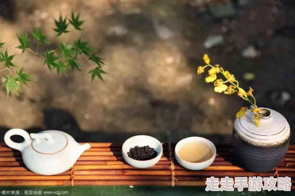 i 爽 女茶艺师：分享她的茶道心得与生活哲学，带你领略茶文化的魅力与深度
