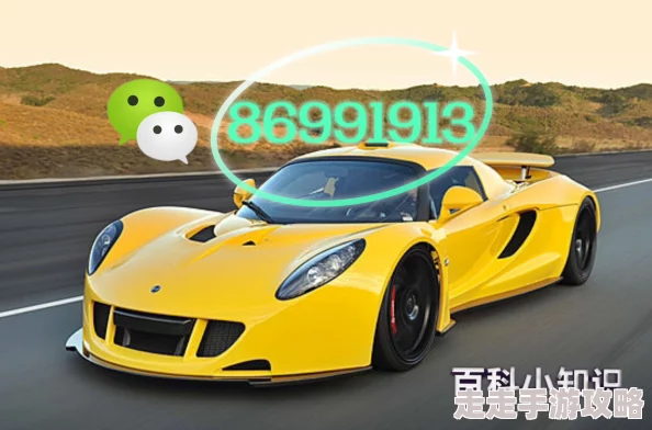 2024经典赛车游戏排行榜前十名网友热评推荐，好玩的极速竞速游戏大全汇总