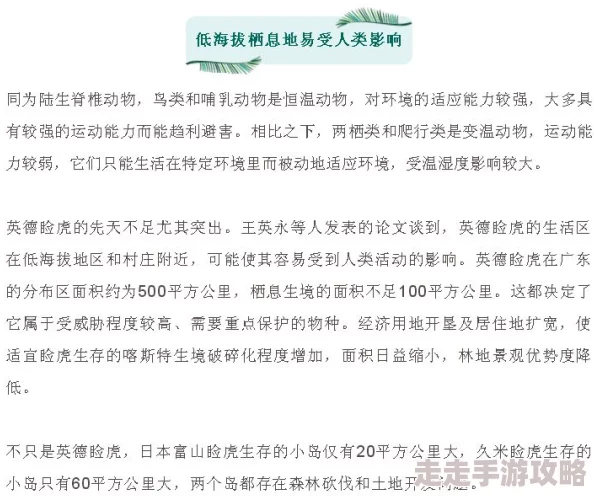 断舍离免费阅读全文2025整理收纳新理念：极简生活从心开始