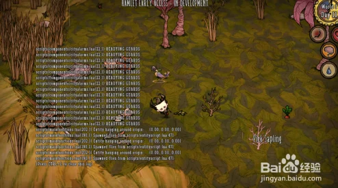 饥荒哈姆雷特独家爆料：揭秘孔雀的独特特性与捕捉技巧