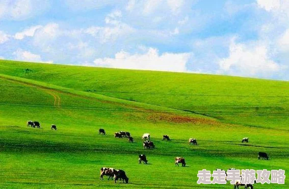 爆料！《文明6》玩家热议：平原与草原，哪个地理优势更胜一筹？