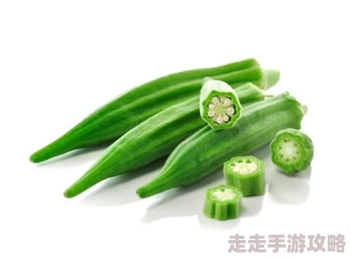 秋葵适合未满十八岁的人吃吗女生2025营养指南推荐青少年适量食用富含维生素的秋葵