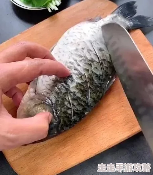 王者荣耀双烧流玩法大揭秘：出装打法及爆料信息详解