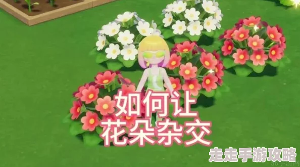 心动小镇花卉杂交技巧详解 ｜ 打造独特花园的秘诀