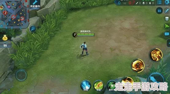 王者荣耀，足球冠军皮肤一览，哪款最受欢迎，玩家热议不断