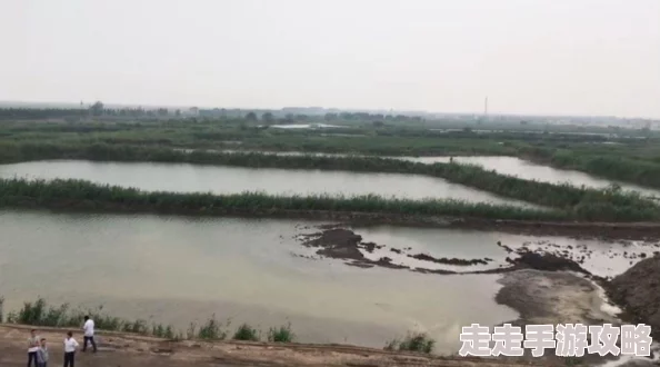 2025年CF空三防属性高效刷新攻略与最新热门刷法介绍 2025年CF空三防属性高效刷新攻略与最新热门刷法介绍