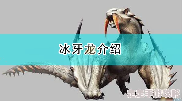 2025年怪物猎人崛起精气琥珀尖高效获得方法与最新途径 2025年怪物猎人崛起精气琥珀尖高效获得方法与最新途径