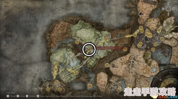 2025年热门指南：艾尔登法环DLC最新入口方法及更新内容详解